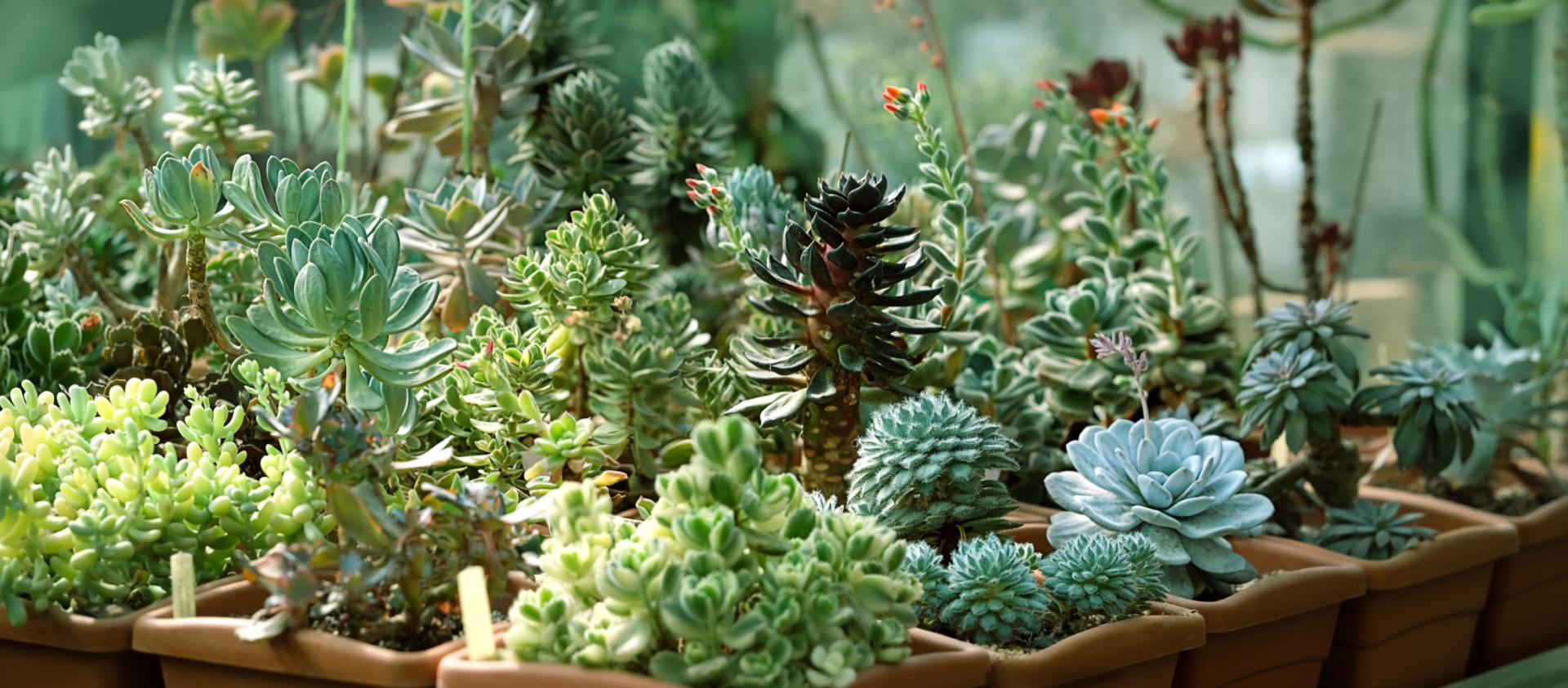 Nursery